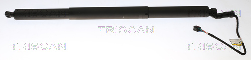 Gas Spring, boot-/cargo area - 8710 29306 TRISCAN