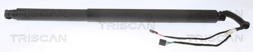 dujinė spyruoklė, bagažinė - 8710 29311 TRISCAN