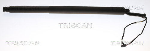 Gas Spring, boot-/cargo area - 8710 29312 TRISCAN