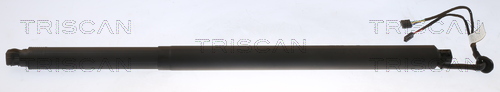 Gas Spring, boot-/cargo area - 8710 29314 TRISCAN