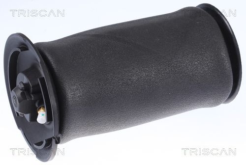 Air Spring, suspension - 8720 11202 TRISCAN