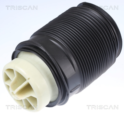 Molla pneumatica, Autotelaio - 8720 23202 TRISCAN