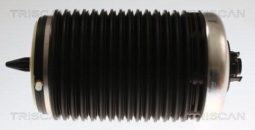 Gamba elastica con ammortiz. pneumatico - 8720 29203 TRISCAN