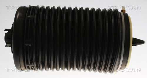 Gamba elastica con ammortiz. pneumatico - 8720 29204 TRISCAN