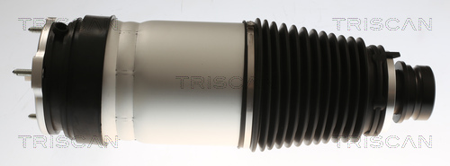 Molla pneumatica, Autotelaio - 8720 81101 TRISCAN