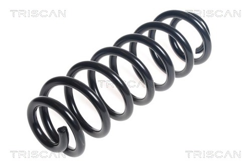 Molla autotelaio - 8750 29391 TRISCAN