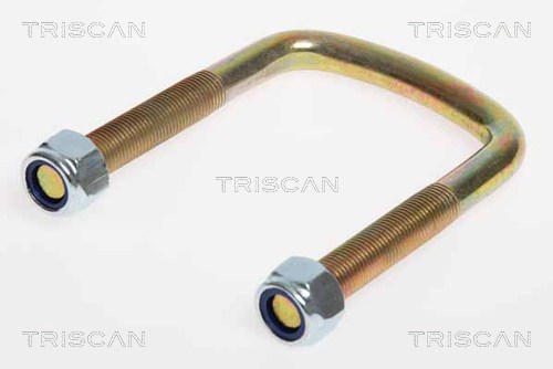Staffa attacco molla - 8765 140003 TRISCAN