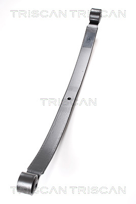 Spring Pack - 8765 16027 TRISCAN