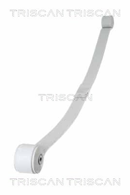 Spring Pack - 8765 16048 TRISCAN