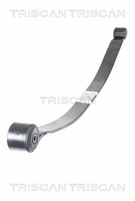 Spring Pack - 8765 16049 TRISCAN