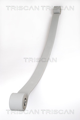 Многолистовая рессора - 8765 23019 TRISCAN