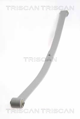 Многолистовая рессора - 8765 29019 TRISCAN