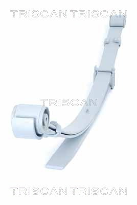 Spring Pack - 8765 29021 TRISCAN
