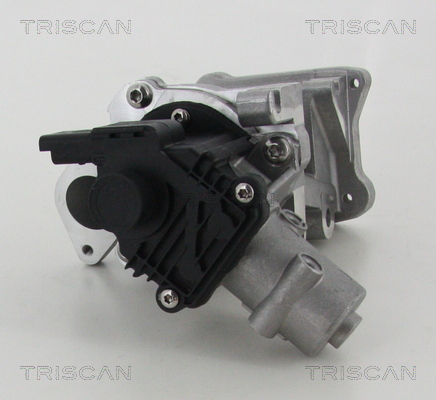 EGR Valve - 8813 10007 TRISCAN