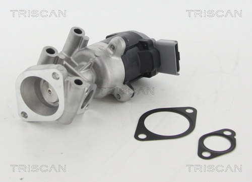 EGR Valve - 8813 10009 TRISCAN