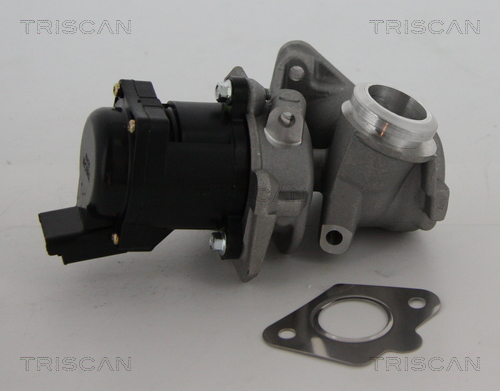 EGR Valve - 8813 10010 TRISCAN