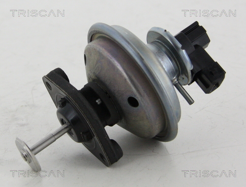 EGR Valve - 8813 11002 TRISCAN