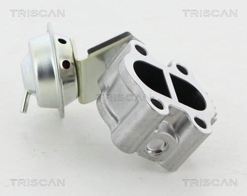 Valvola ricircolo gas scarico-EGR - 8813 13060 TRISCAN