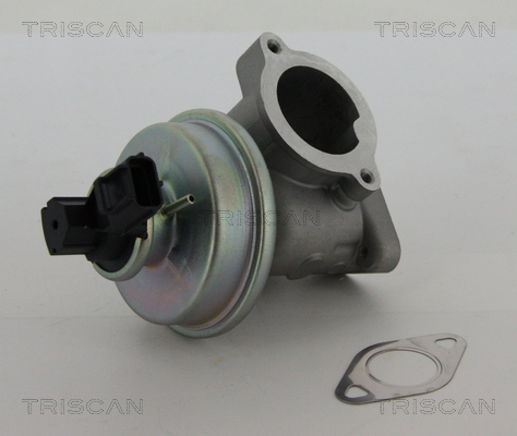 EGR Valve - 8813 16012 TRISCAN