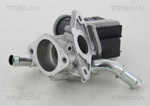 Valvola ricircolo gas scarico-EGR - 8813 16036 TRISCAN