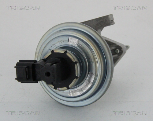 EGR Valve - 8813 16045 TRISCAN