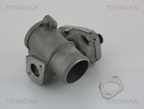 EGR Valve - 8813 16101 TRISCAN