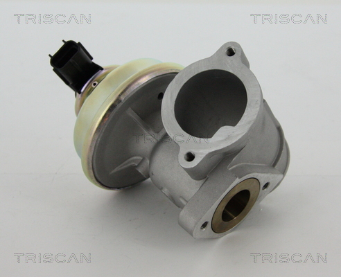 EGR Valve - 8813 16102 TRISCAN