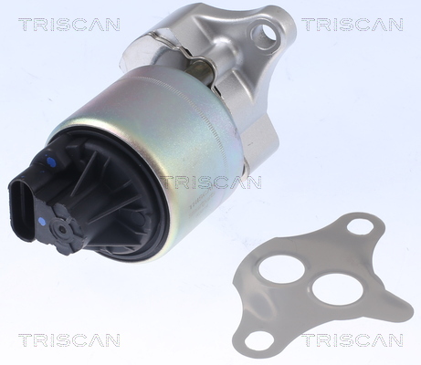 EGR Valve - 8813 21001 TRISCAN
