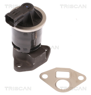 EGR Valve - 8813 21004 TRISCAN