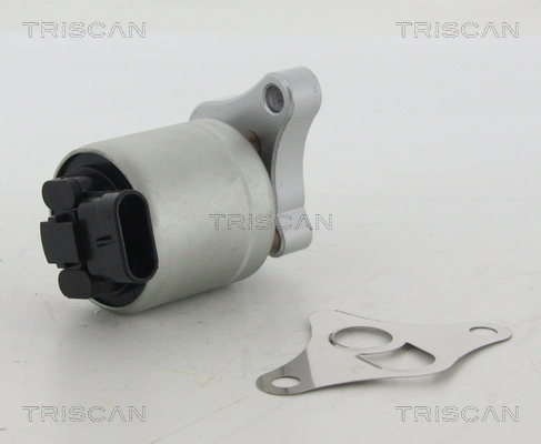 EGR Valve - 8813 24002 TRISCAN