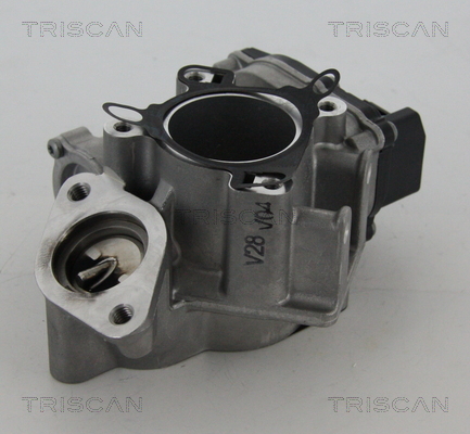 Valvola ricircolo gas scarico-EGR - 8813 24039 TRISCAN