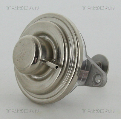 EGR Valve - 8813 24054 TRISCAN
