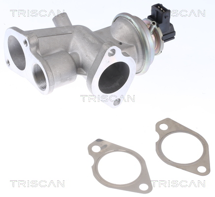 EGR Valve - 8813 24203 TRISCAN