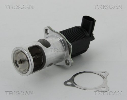EGR Valve - 8813 25038 TRISCAN