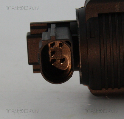 EGR Valve - 8813 25038 TRISCAN
