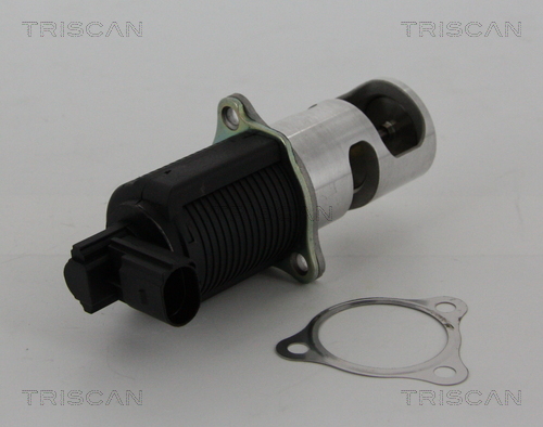 EGR Valve - 8813 25038 TRISCAN