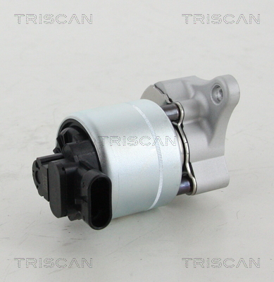 EGR Valve - 8813 28008 TRISCAN
