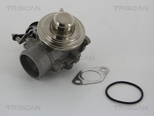 EGR Valve - 8813 29001 TRISCAN