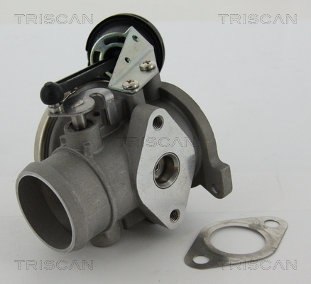 EGR Valve - 8813 29022 TRISCAN
