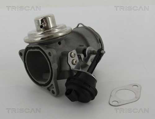 EGR Valve - 8813 29036 TRISCAN