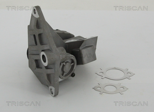 EGR Valve - 8813 29047 TRISCAN