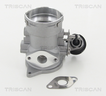 EGR Valve - 8813 29056 TRISCAN
