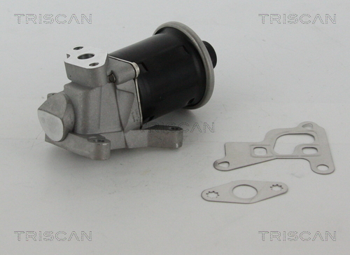 EGR Valve - 8813 29100 TRISCAN