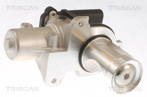 EGR Valve - 8813 29101 TRISCAN