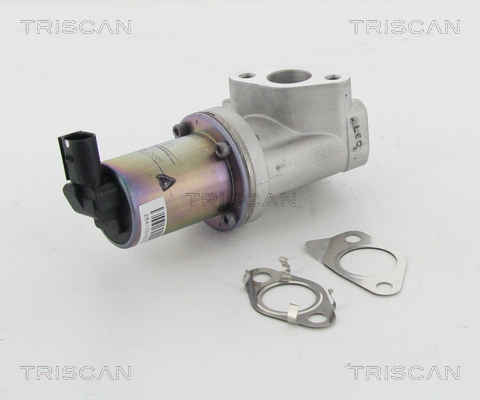 EGR Valve - 8813 43021 TRISCAN