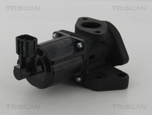 EGR Valve - 8813 50007 TRISCAN