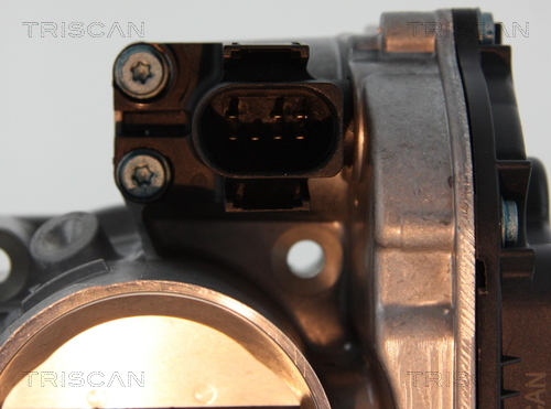 Throttle body - 8820 29018 TRISCAN