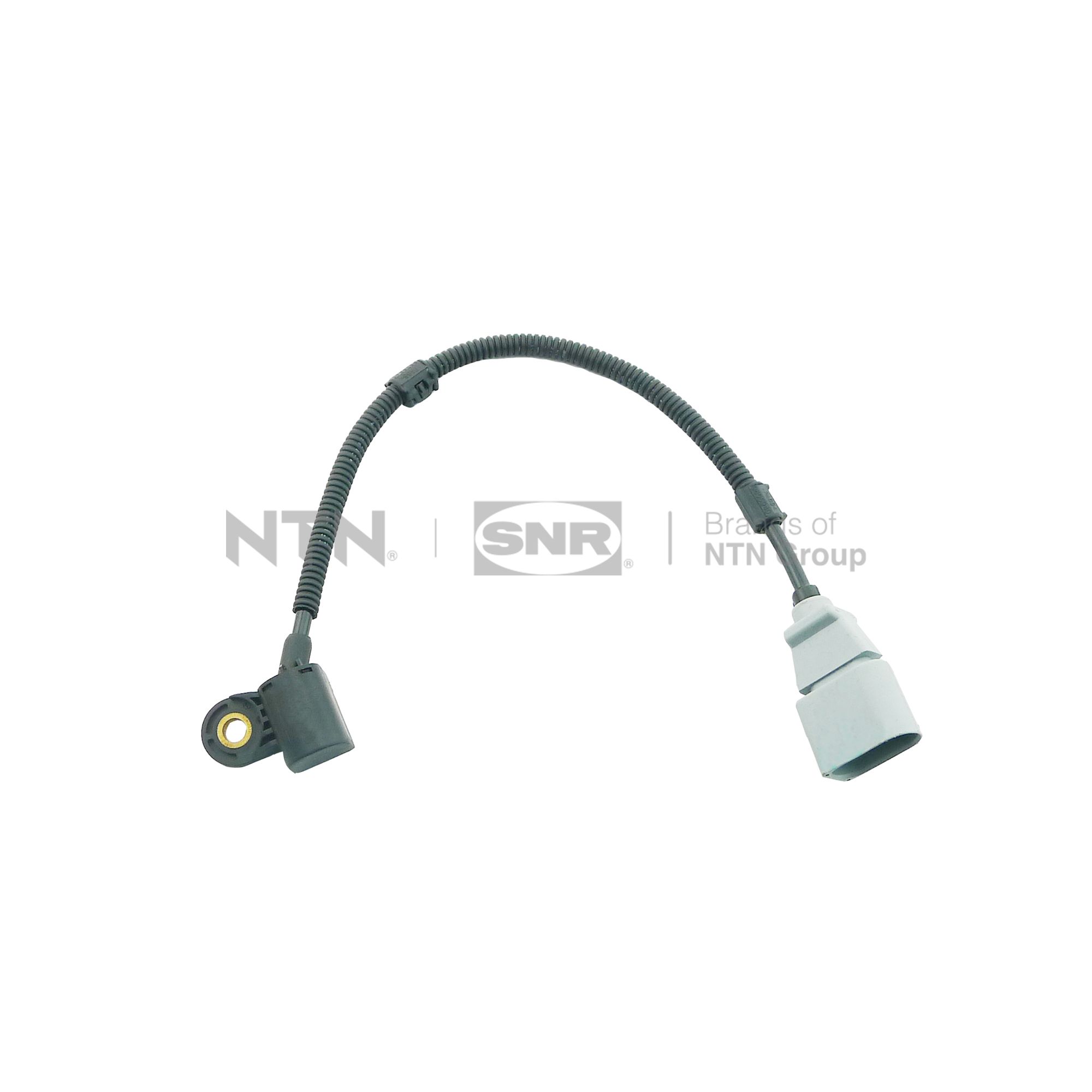 Sensor, camshaft position - CMP154.01 SNR