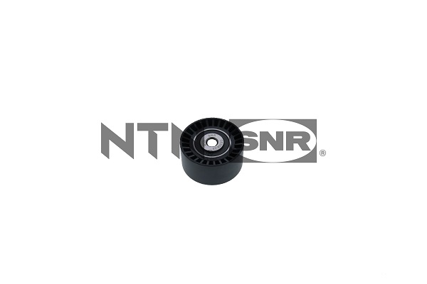 Deflection/Guide Pulley, timing belt - GE359.23 SNR