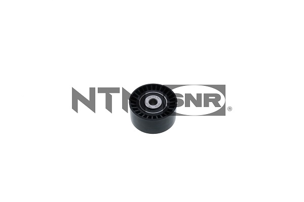 Deflection/Guide Pulley, timing belt - GE359.31 SNR